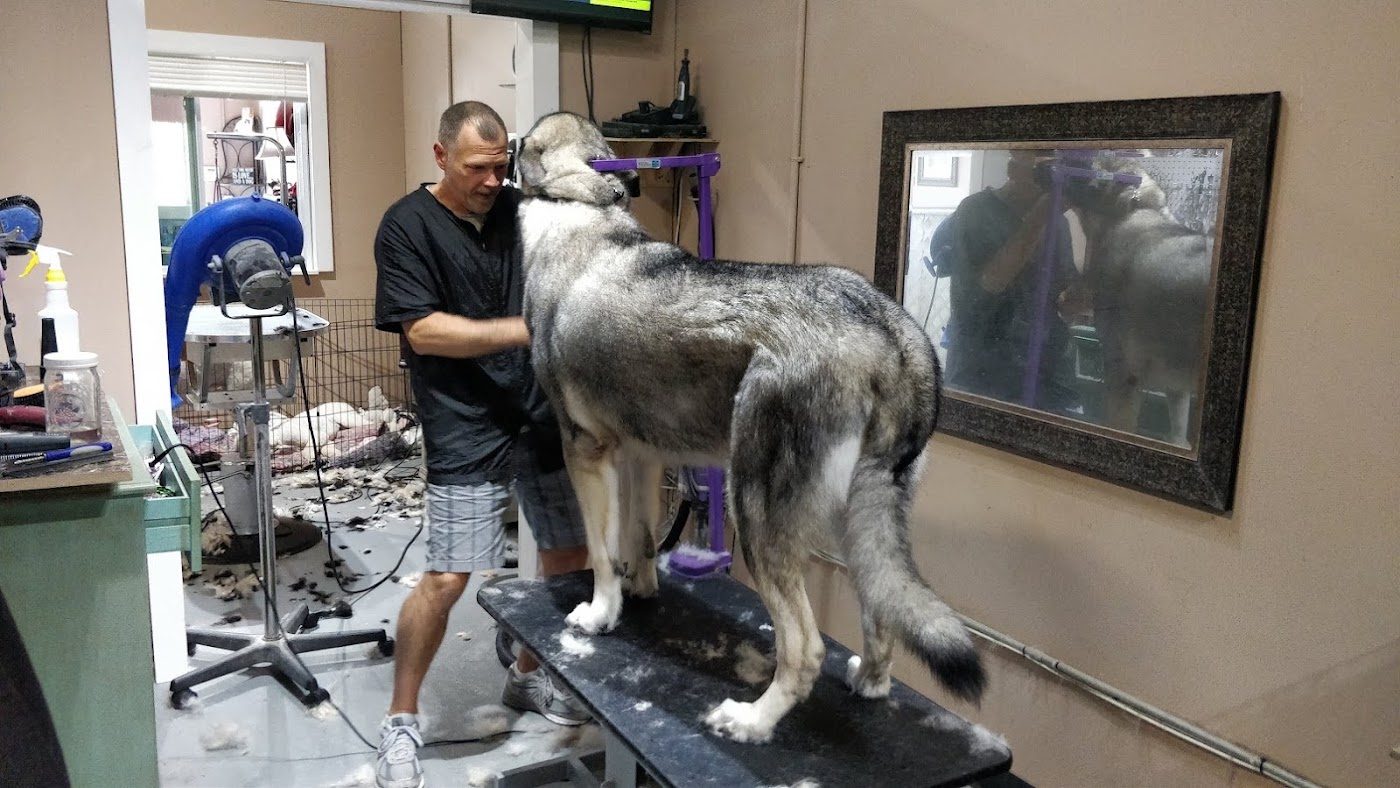 Grooming at Paws N Pearls